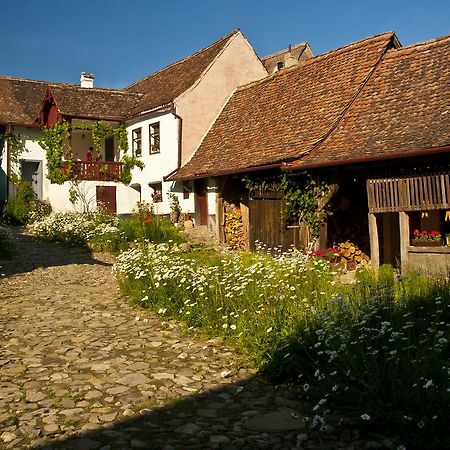 Casa Cu Zorele, Crit 189 ภายนอก รูปภาพ
